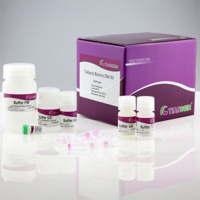 Bacteria DNA Extraction Kit
