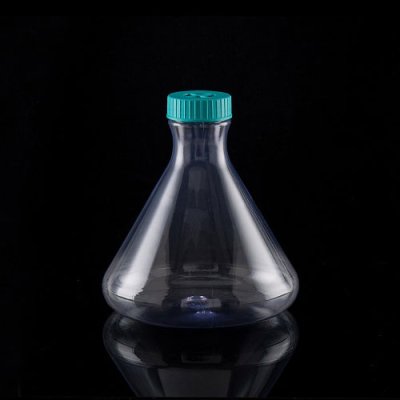 Erlenmeyer Flask