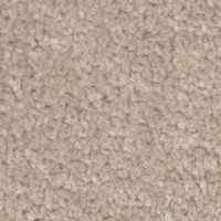 APOLLO PLUS 5M CASHEW