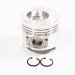 PISTON BODY C/W CLIPS