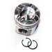 PISTON BODY C/W CLIPS
