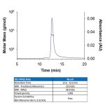 Protein, Recombinant Human Noggin Protein, 100 &micro;g