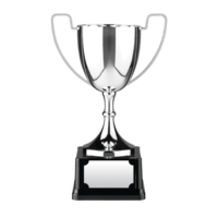 35cm Swatkins Replica Nickle Plated Cup