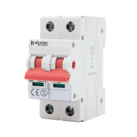 Elucian 100A 2P Main Isolator CU2MS100