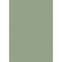 Farrow & Ball Breakfast Room Green Colour Swatch