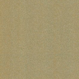 Champagne - R19