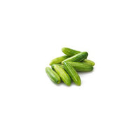 Tindora Cucumber