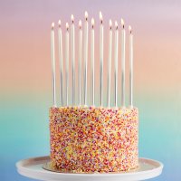 Silver Ombre Tall Skinny Wax Candles - Pack of 12