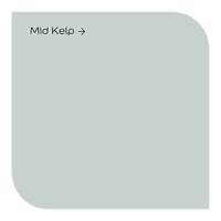 Signature Mid Kelp Vinyl Matt Colour Swatch