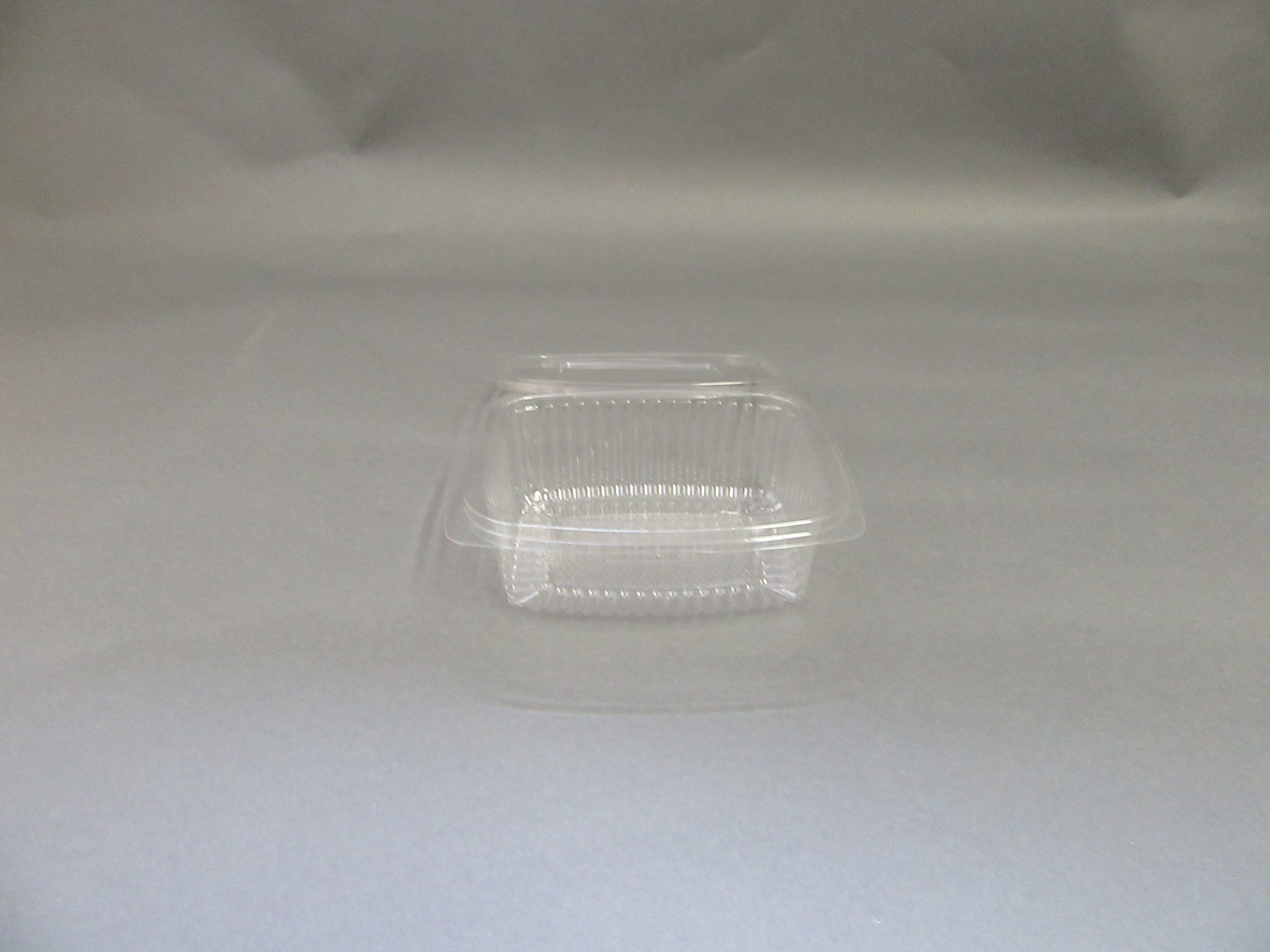 Salad 500cc Container(SLR500)