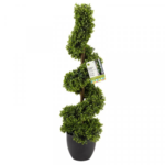 Topiary Twirl