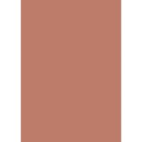 Farrow & Ball Red Earth Colour Swatch