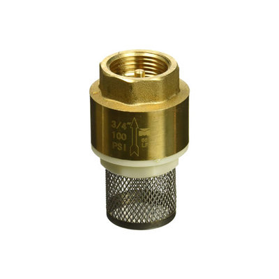 3/4" Foot Valve