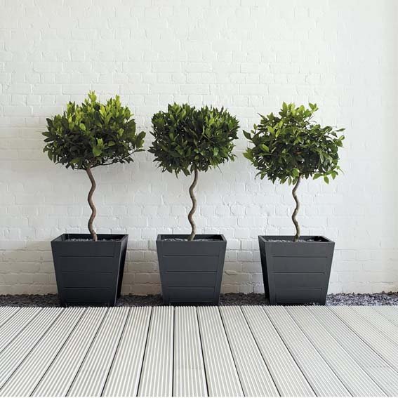 Ronseal Blackbird Garden Paint Lifestyle