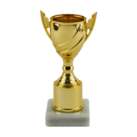 17cm Gold Plastic Cup Trophy (V202S)