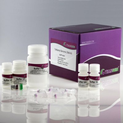 Genomic DNA Extraction Kit