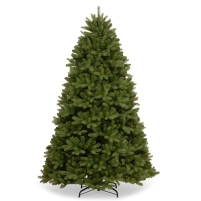 Newberry Spruce Tree - 7.5ft