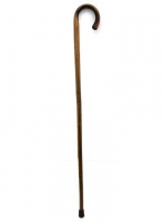 Walking Stick