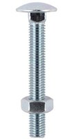 Cup Head Bolt & Nut M10 X 150 Pack of 14