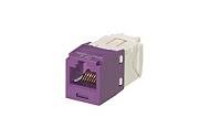 CAT6 Module Violet