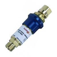 Wescol Resettable Heavy Duty Flash Back Arrestor Oxygen