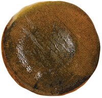 Genesis Presentation Plate 31cm Carton of 6