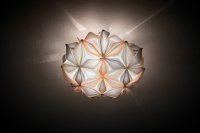 USE CODE SPLAVCM00ORG00000000EU  INSTEAD