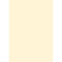 Farrow & Ball New White Colour Swatch