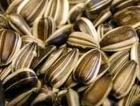 J&J Striped Sunflower Seed 10kg [Zero VAT]