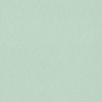 Select Colours Mountboard Frond