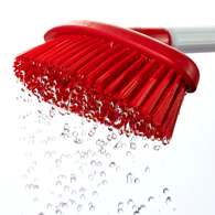 Waterfed and Washing Brushes
