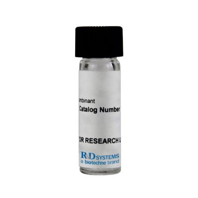 Protein, Recombinant Human ADAMTS5 Protein, CF, 20 &micro;g