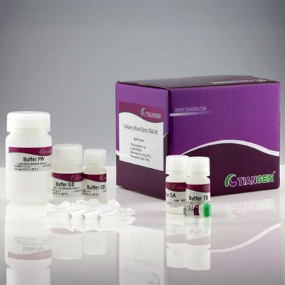 Blood Spots DNA Extraction Kit