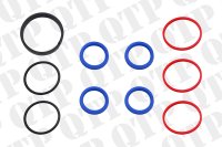 600290 Power Steering Ram Seal Kit 3657807M91 - Massey Ferguson