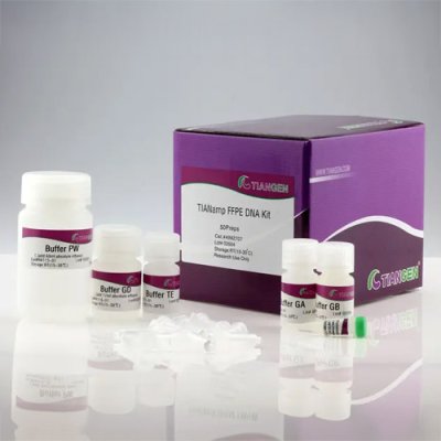 FFPE DNA Extraction Kit