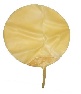 Rubber ballon voor testkit