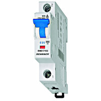 MCB, BMS6 Series, 1-pole, Type C, 40A