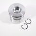 PISTON BODY C/W CLIPS