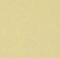 MARMOLEUM MODULAR TILE T3566 2.5mm