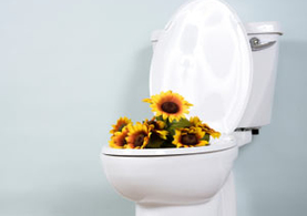 Odour Neautralisers & Air Fresheners