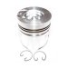 PISTON BODY C/W CLIPS