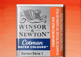 Half Pan Professional Water Colour