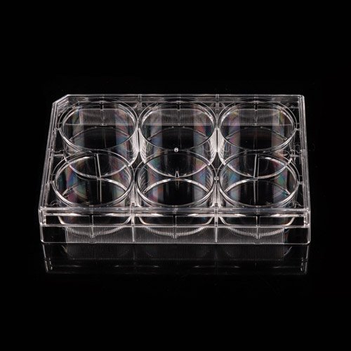 Cell Culture Plates WhiteSci