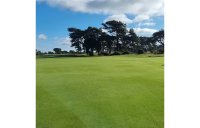 HM - FESCUE GRASS SEED MIX