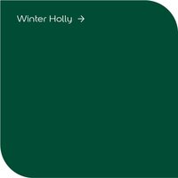 Dulux High Gloss Winter Holly Colour