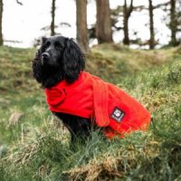 * Danish Design Towelling Dog Robe 50cm Red x 1