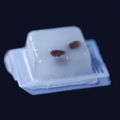 Automated Extraction Kit, TANBead FFPE RNA, Auto Plate, RUO, 62P series, M62PA46, 96 Tests; MOQ of 4