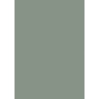 Farrow & Ball Card Room Green No.79 Colour Swatch
