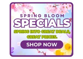 SPRING SALE