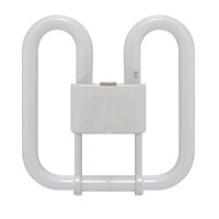 12V 16W 2D Square 4 Pin